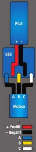 Traxxas Slash VXL - Diagramme de cablage du moteur et du contrôleur de vitesse - 1