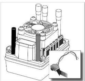 ECX ECX03016 - FR—Recepteur SRS4201 à Stabilisation Assisted - 1