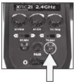 XciteRC Sand Storm one8 2WD Brushless Buggy - BINDING: - 5