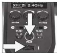 XciteRC Sand Storm one8 2WD Brushless Buggy - BINDING: - 4