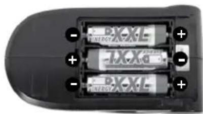 XciteRC Monster Truck twenty4 MT - La télécommande - 2