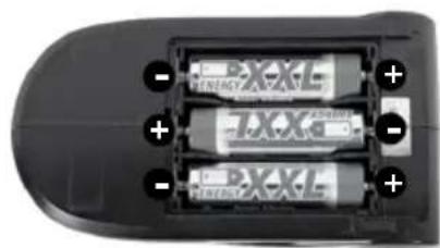 XciteRC Monster Truck twenty4 MT - Das Fernsteuersystem - 2