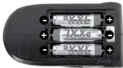 XciteRC Buggy twenty4 B - Sommaire - 1