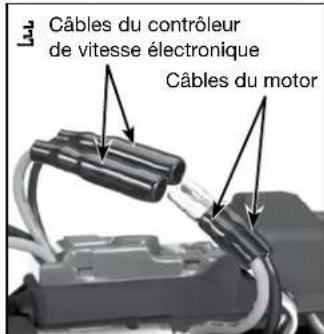 LaTrax Teton 76054.1 - Remplacement du moteur - 5