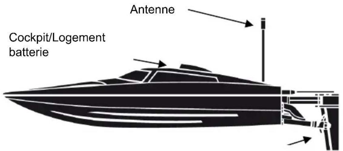 Acme Made Zoopa Thunder #01 - Structure et fonction - 1