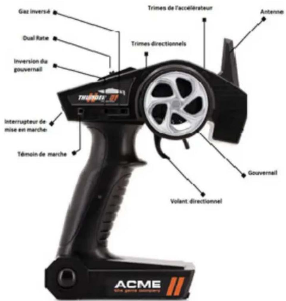 Acme Made Zoopa Thunder #01 - Structure et fonction - 2