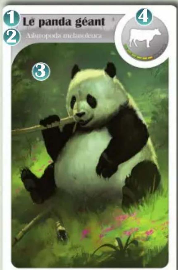 Bombyx Cardline Animals - Matériel - 1