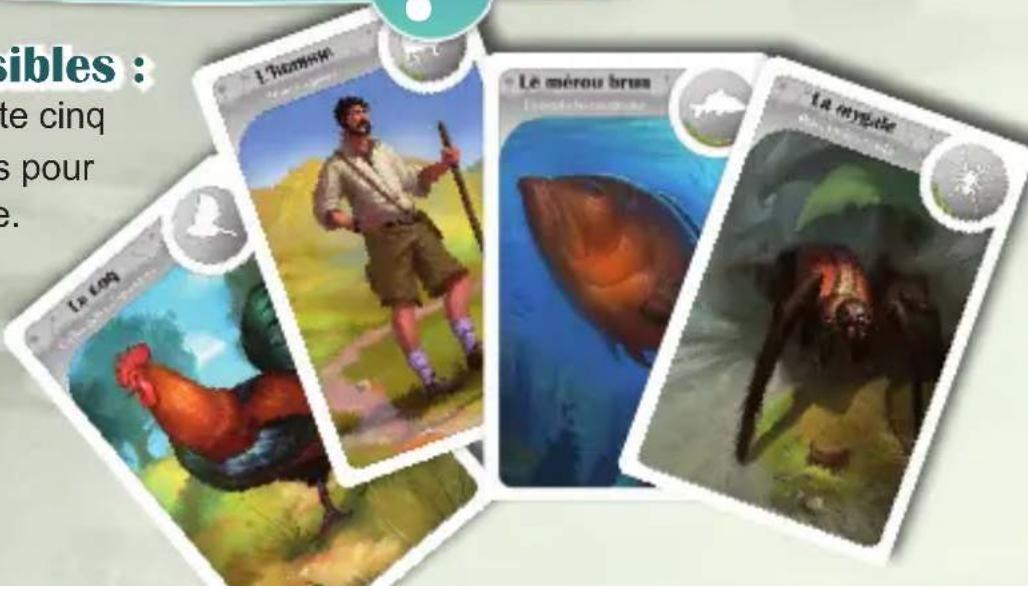 Bombyx Cardline Animals - Emplacements possibles : - 1