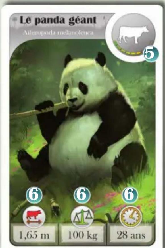 Bombyx Cardline Animals - Matériel - 2
