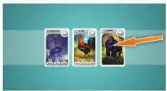Bombyx Cardline Animals - Tour du second joueur - 1