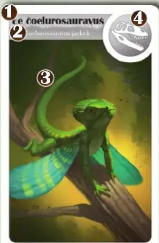 Bombyx Cardline Dinosaurs - Echelle des temps géologiques. - 1