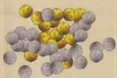 Bombyx The Builders Antiquity - pieces - 1