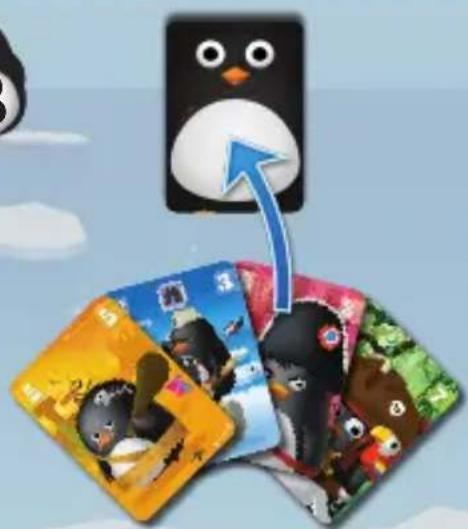 Bombyx Zany Penguins - Cartes données par les joueurs de gauche et de droite - 4