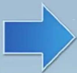 Bombyx Zany Penguins - Cartes données par les joueurs de gauche et de droite - 5