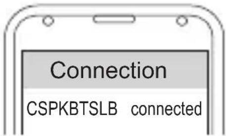 CONCEPTRONIC CSPKBTSLB - Collegamento - 1