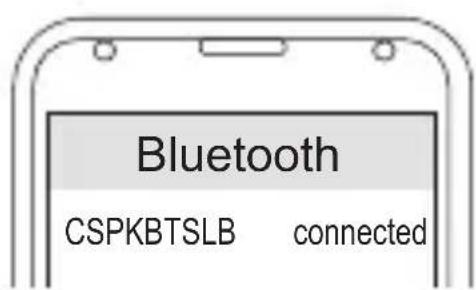 CONCEPTRONIC CSPKBTSLB - Commutateur - 1