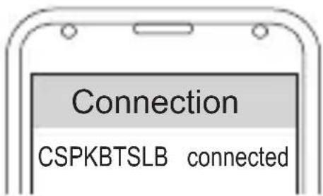CONCEPTRONIC CSPKBTSLB - Conexión - 1