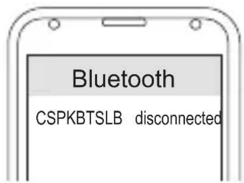 CONCEPTRONIC CSPKBTSLB - Verbinden - 2