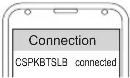 CONCEPTRONIC CSPKBTSLB - Σύνδεση - 1
