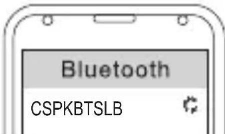 CONCEPTRONIC CSPKBTSLB - Emparejamiento - 1