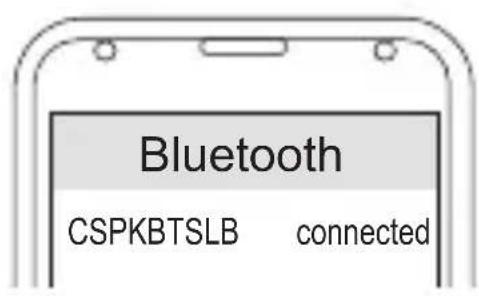 CONCEPTRONIC CSPKBTSLB - Umschalten - 1