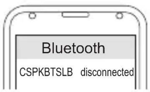 CONCEPTRONIC CSPKBTSLB - Verbinden - 3