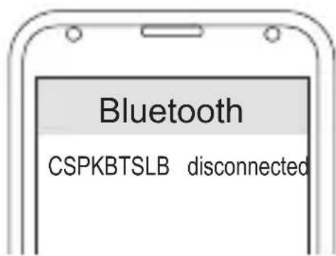 CONCEPTRONIC CSPKBTSLB - Conexión - 2