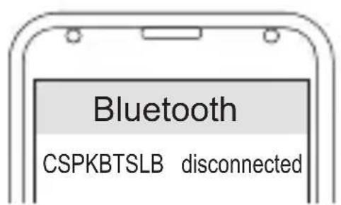 CONCEPTRONIC CSPKBTSLB - Connexion - 3