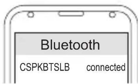 CONCEPTRONIC CSPKBTSLB - Przełącznik - 1