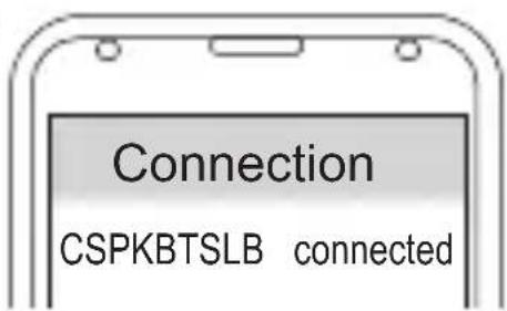 CONCEPTRONIC CSPKBTSLB - Verbinden - 1