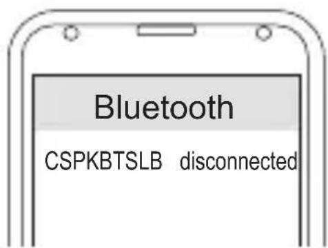 CONCEPTRONIC CSPKBTSLB - Connexion - 2