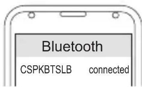 CONCEPTRONIC CSPKBTSLB - Mudar - 1