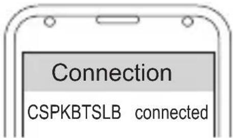 CONCEPTRONIC CSPKBTSLB - Connection - 1