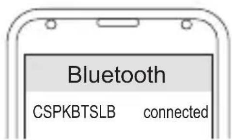 CONCEPTRONIC CSPKBTSLB - Διακόπτης - 1