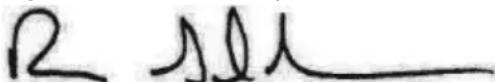 MCCULLOCH GB 320 - DECLARATION OF CONFORMITY - 1