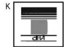 MCCULLOCH GB 320 - IDENTIFICACION DE SIMBOLOS - 12