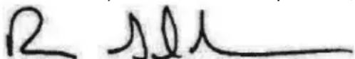 MCCULLOCH GB 320 - DECLARATION DE CONFORMIDAD - 1