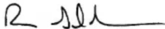 MCCULLOCH B428 PS - DECLARACION DE CONFORMIDAD - 1