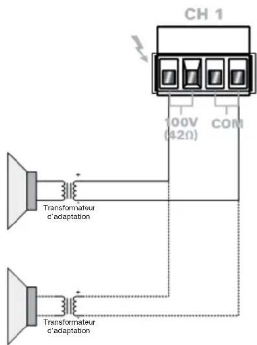 Audac CAP248 - Connexions de sortie - 2
