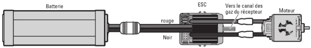 Axial RR10 Bomber - VARIATEUR ESC AVANT/ARRIÈRE DYNS2213 AVEC FREINAGE PAR RÉSISTANCE - 1