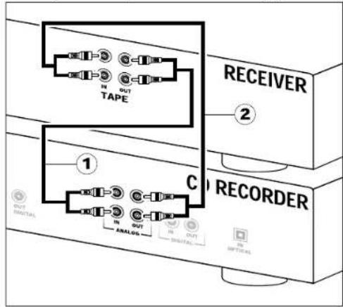 MARANTZ DR4050 - Connexions analogiques pour l'enregistreur de CD et le lecteur de CD - 1