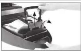 QUIGG Topo Vivo - Cleaning the filter of the dust box - 13