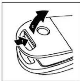 QUIGG Topo Vivo - Aspirar con deposito de polvo - AIRBOX iV(acir el deposito de polvo tras cada proceso de aspiracion! - 1
