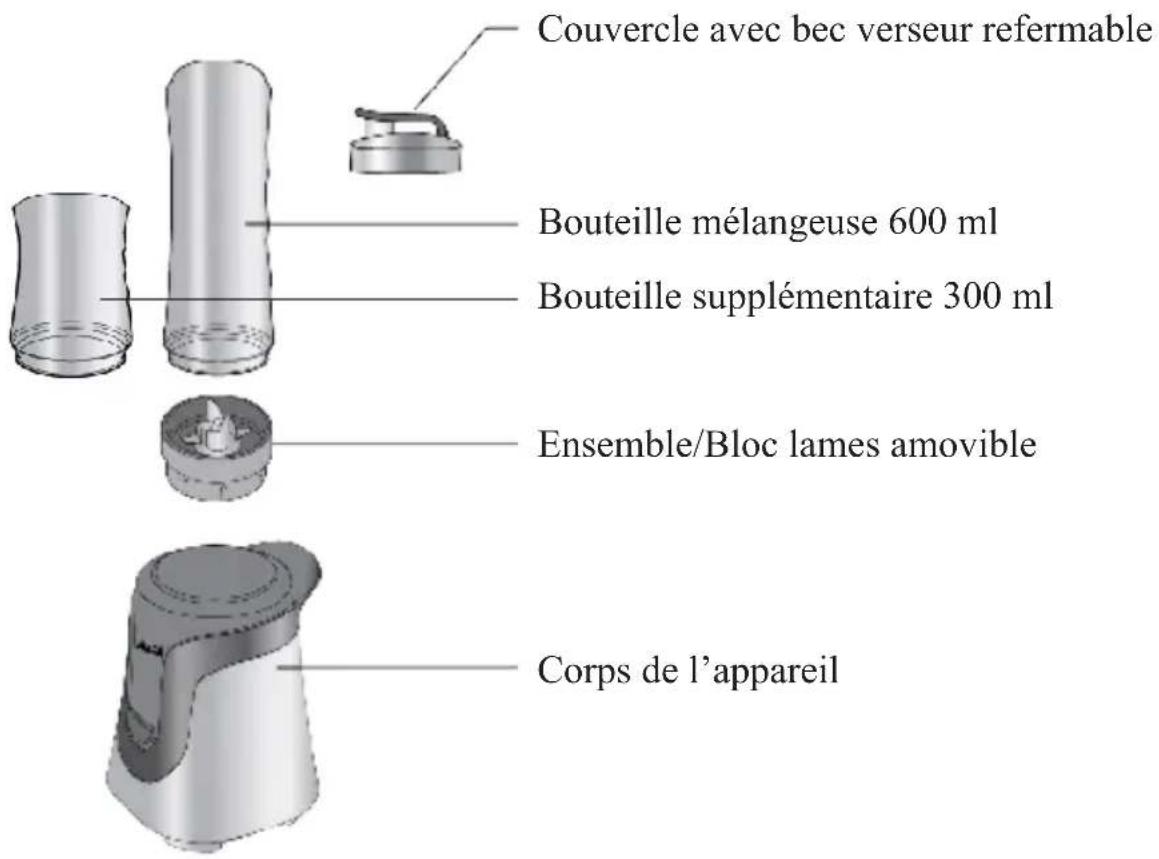 QUIGG MB2 - VUE DÉTAILLÉE - 1