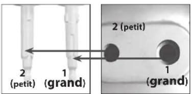 QUIGG GTHM07 - REMARQUE! - 1