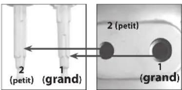 QUIGG GTHM06 - Remarque! il existe un fouet / un malaxeur gauche et un fouet / malaxeur droit. - 1