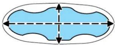 Lincoln Navigator (2001) - Sie ges et dispositifs de retenue - 3