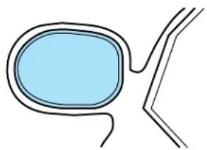 Lincoln Navigator (2001) - Rétroviseurs extérieurs chauffants - 1