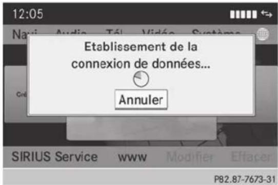 Mercedes-Benz CLS Coupe (2013) - Restrictions d'affichage - 1