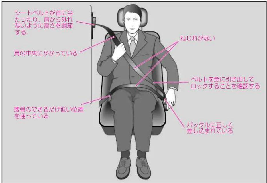 Mercedes-Benz AClass (2008) - シートベルト - 1